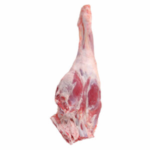 فخذ غنم عربي